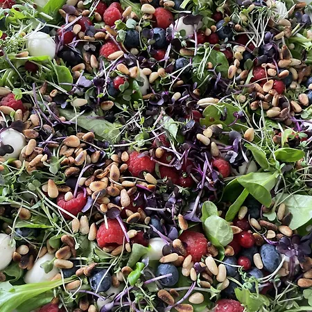 Burkhardt בית הארחה