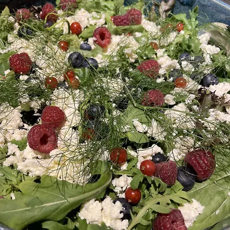 Burkhardt בית הארחה Meißen