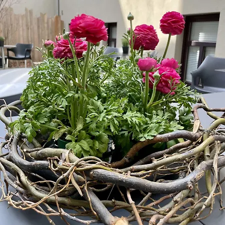 Burkhardt בית הארחה